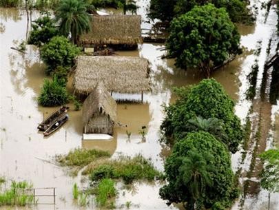 Strong international cooperation needed to prevent disasters - ảnh 1